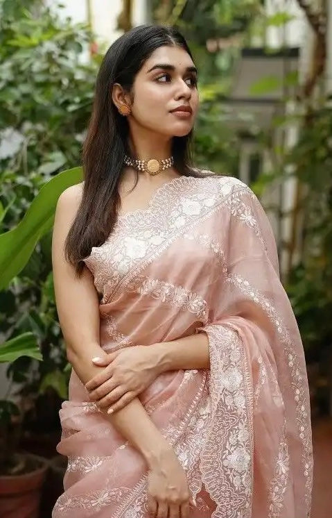 Raaya Chikankari Organza Saree
