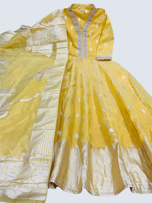 Pihu Shimmer Anarkali Gown