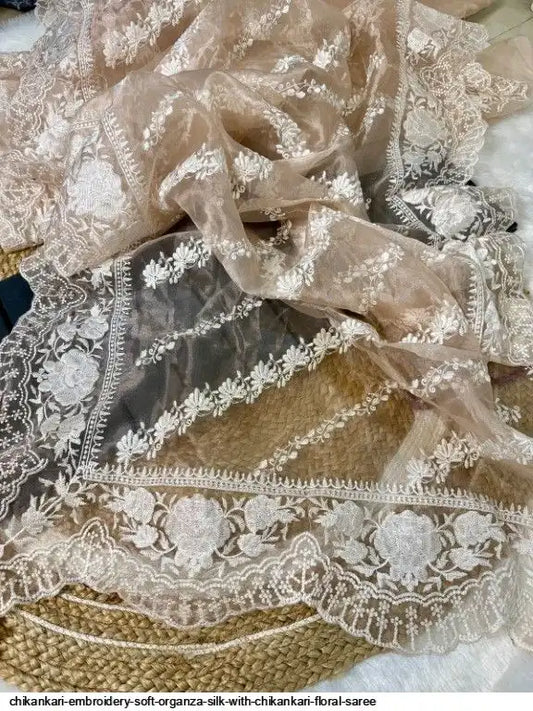 Raaya Chikankari Organza Saree